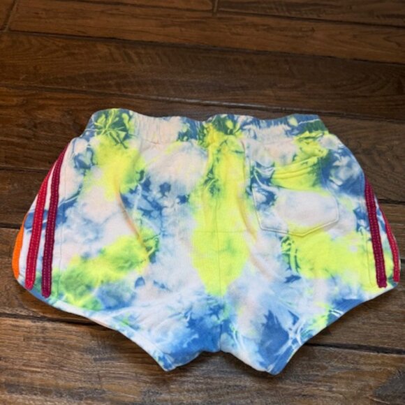 Tie Dyed Aviator Nation Sweatshorts - Picture 3 of 5